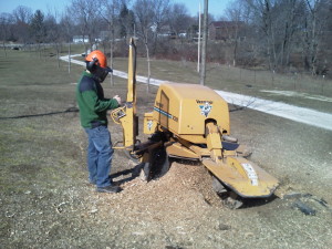 stump grinding in cleveland